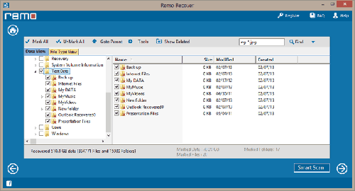 Undelete FAT Partition - Select Data View or File Type View